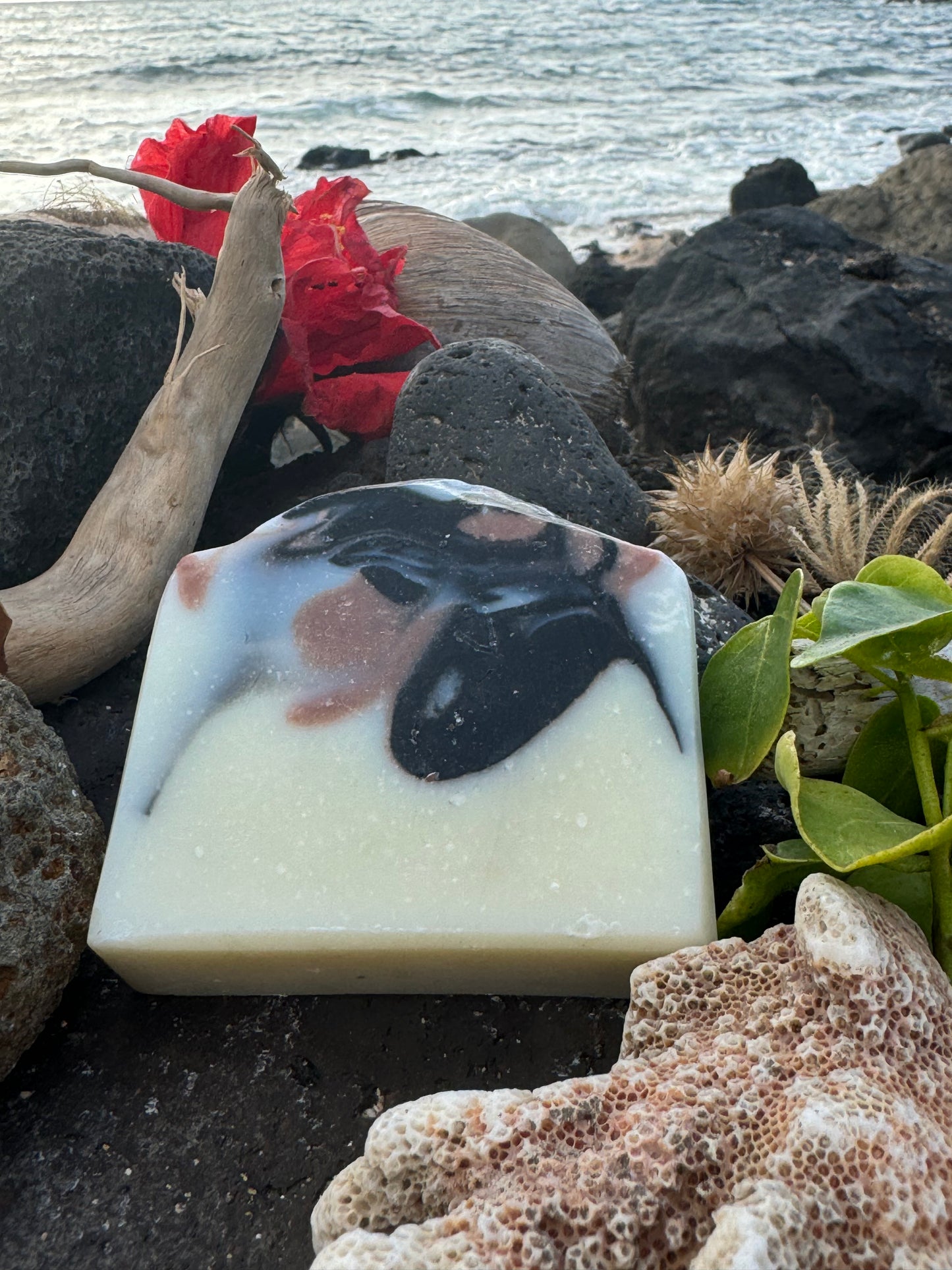 Sweet Fennel Grapefruit Soap