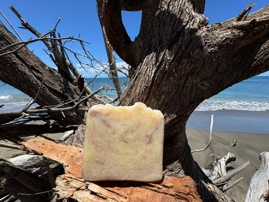 Shampoo Soap Bar